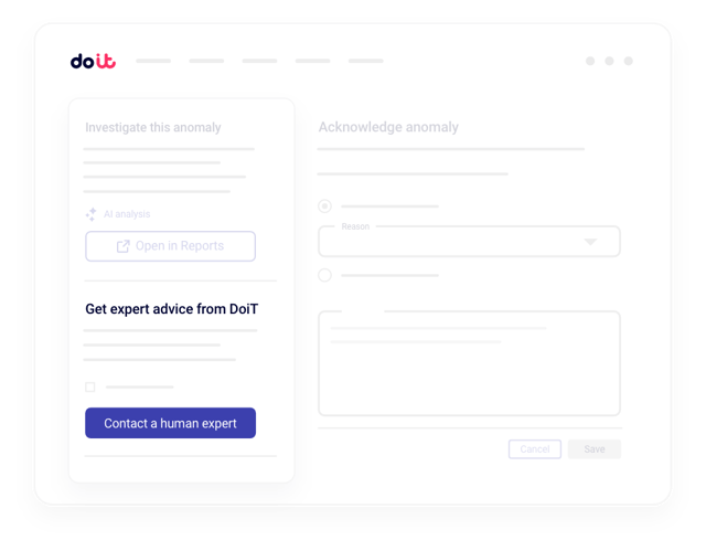 DoiT Cloud Architect providing real-time support on an escalated anomaly investigation